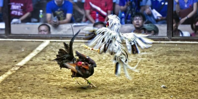 hello88z ﻿đăng nhập lô đề uy tín