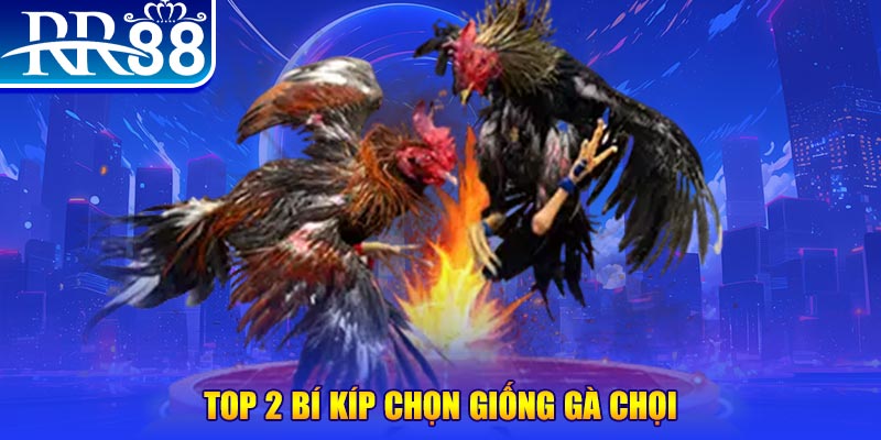 hello88z bắn cá h5