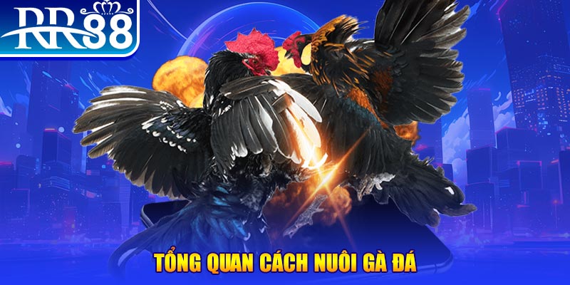 hello88z xổ số thứ ba