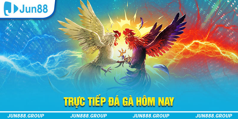 hello88z trực tiếp đá gà thomo