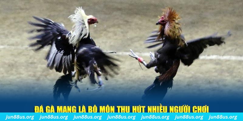 hello88z xổ số long an