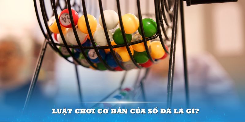 hello88z Đĩa màu ace