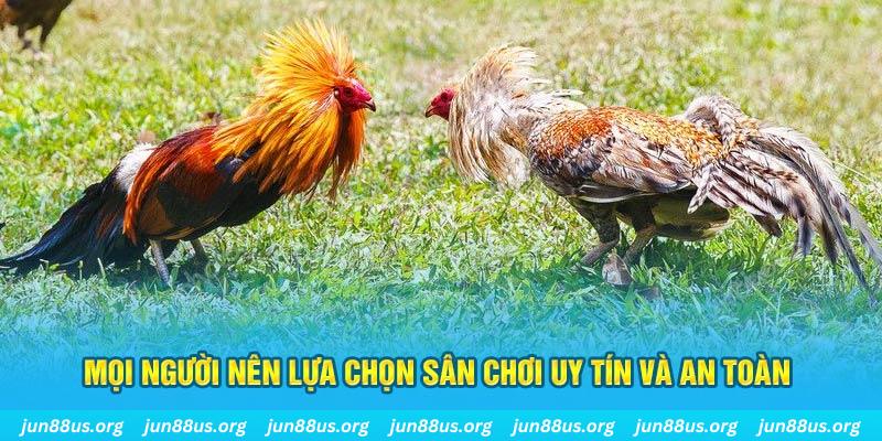 hello88z Tài Xỉu