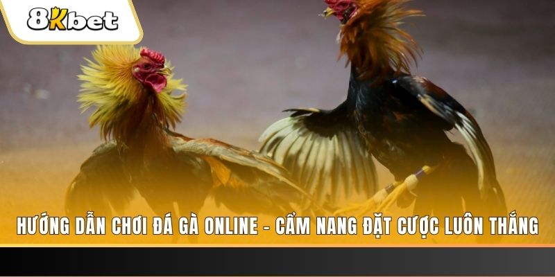hello88z tai game danh bai bigkool ve may tinh