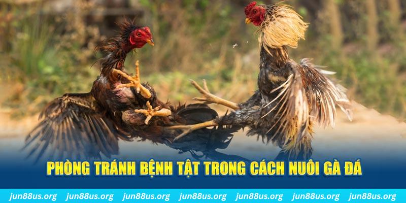 hello88z natural” trong baccarat nghĩa là gì？