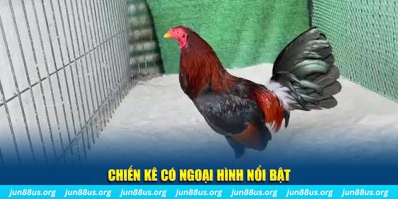 hello88z nhạc slot là gì
